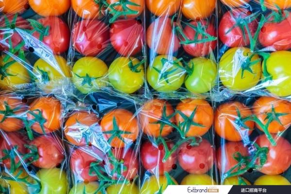 Dow Packaging insists plastic has a role to play in the sustainable future of food / Pic: GettyImages / Dutch Scenery